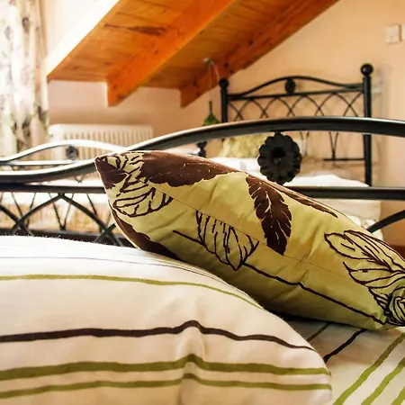 Filyra Guest house 3*