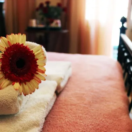 게스트하우스 Filyra 3*