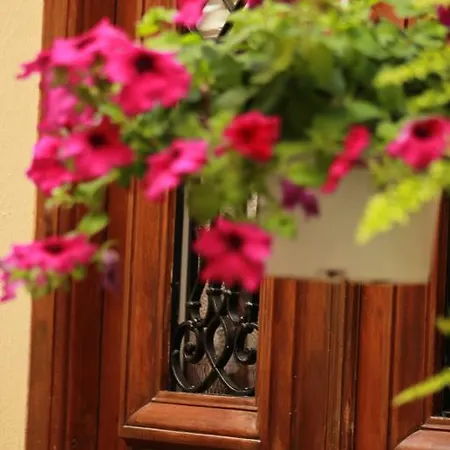 Filyra Guest house 3*